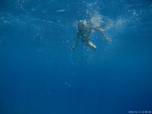 Snorkelling trip